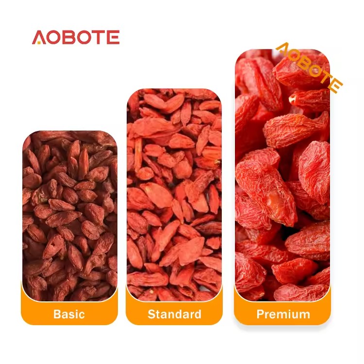 Product Importer Gallery 04 · 6f141303d0