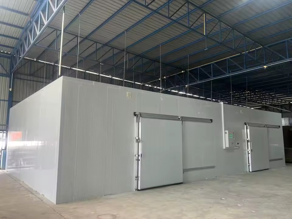 Product Importer Gallery 02 · 2809ceca98