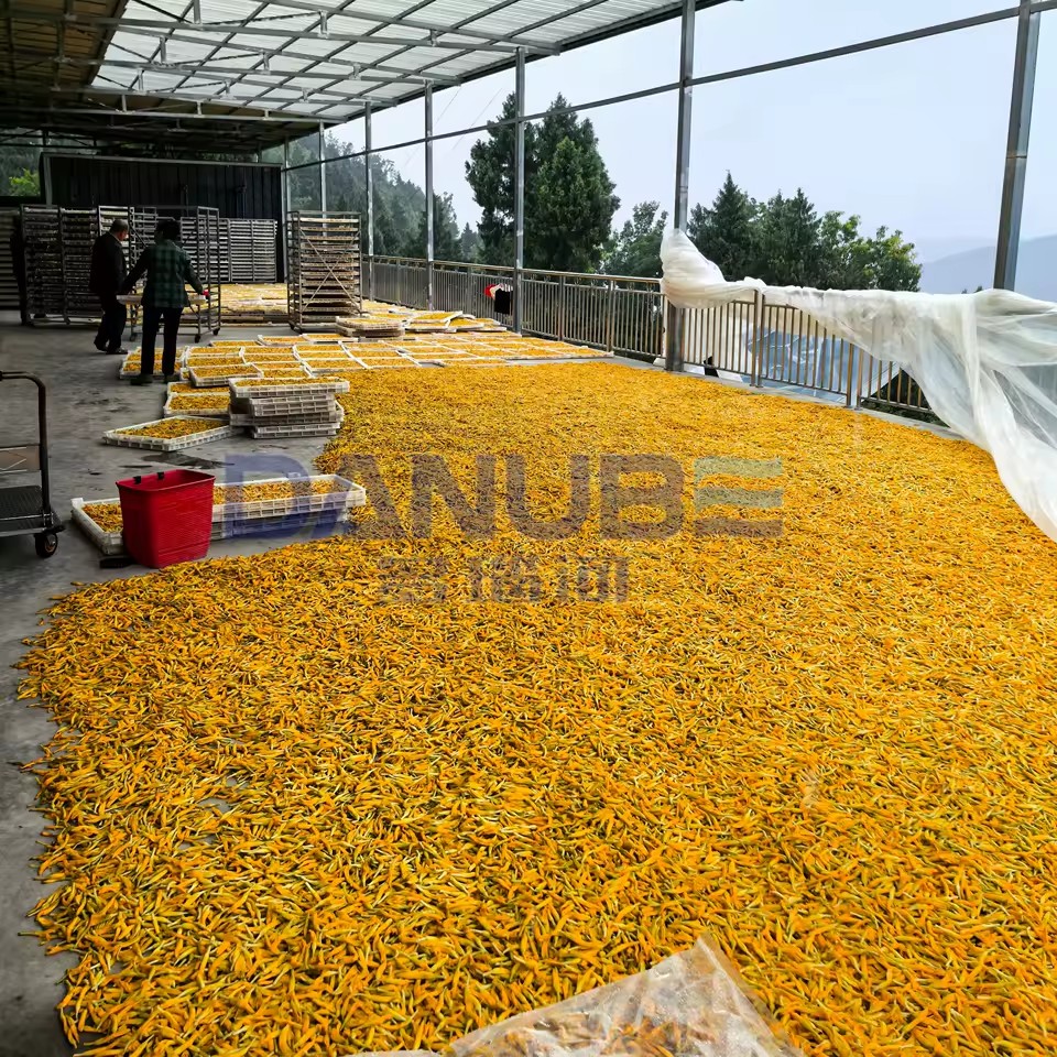 Product Importer Gallery 02 · ebe195c849