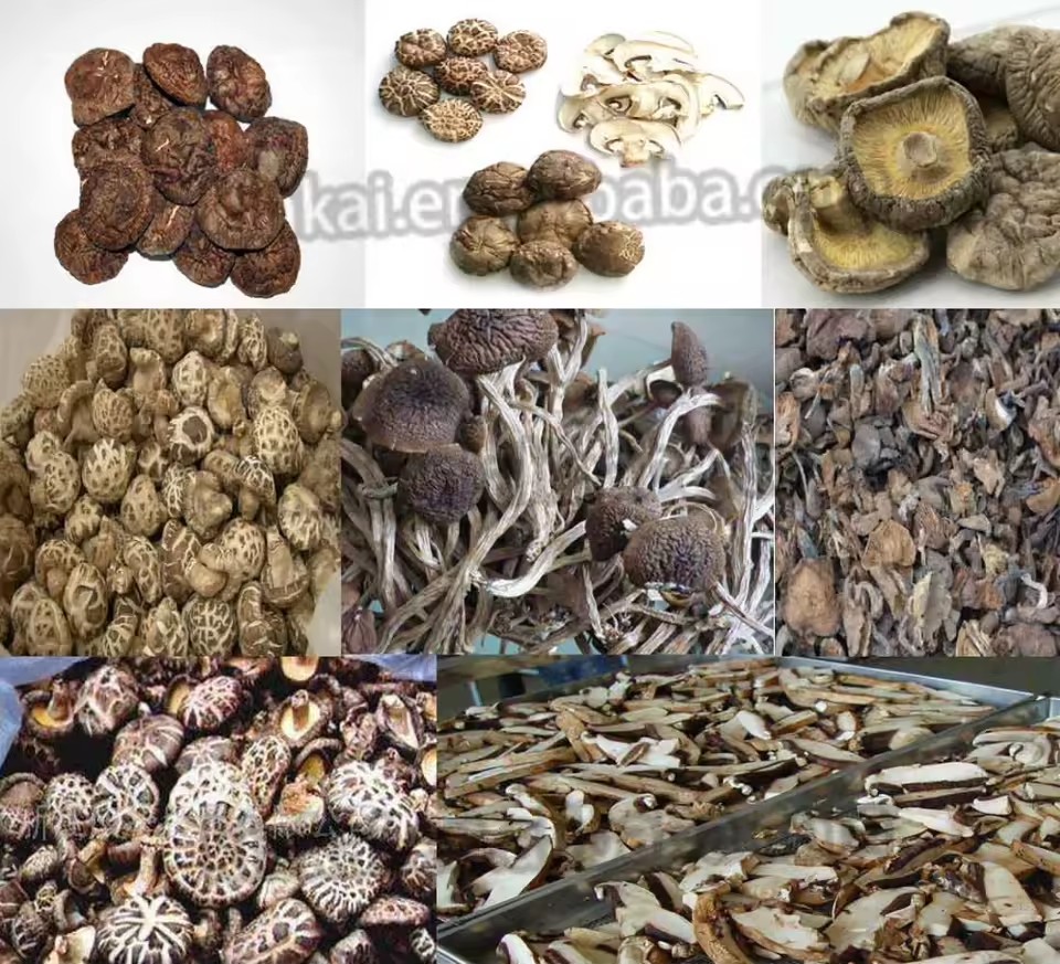 Product Importer Gallery 04 · 98368b8853