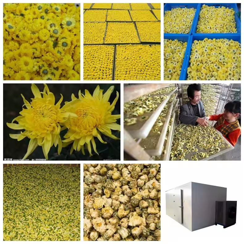 Product Importer Gallery 04 · f339803bc2