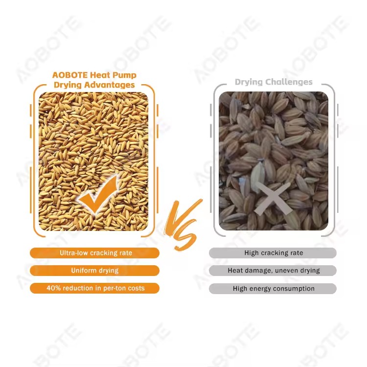 Product Importer Gallery 04 · 44e8941ec5