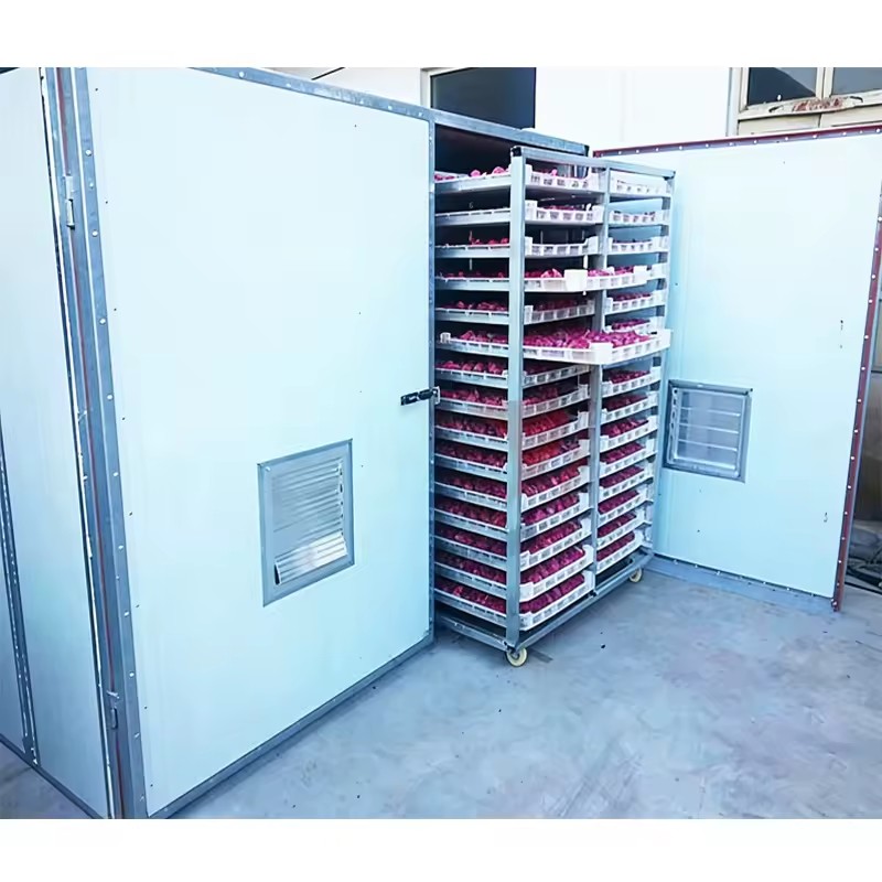 Product Importer Gallery 05 · a8c72cbbed