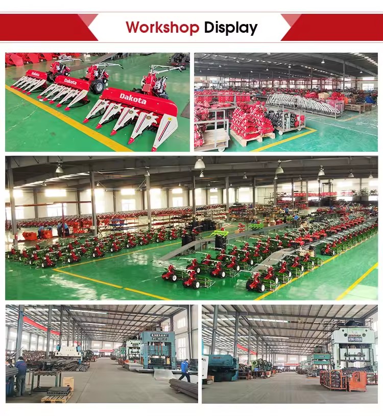 Product Importer Gallery 04 · d10fddfee8