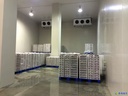 Product Importer Gallery 02 · eaec78fe16