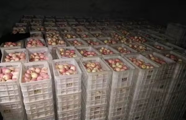 Product Importer Gallery 01 · fab3bc6c93