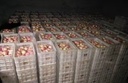 Product Importer Gallery 01 · fab3bc6c93