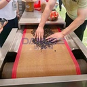 Product Importer Gallery 03 · c26401cf8e