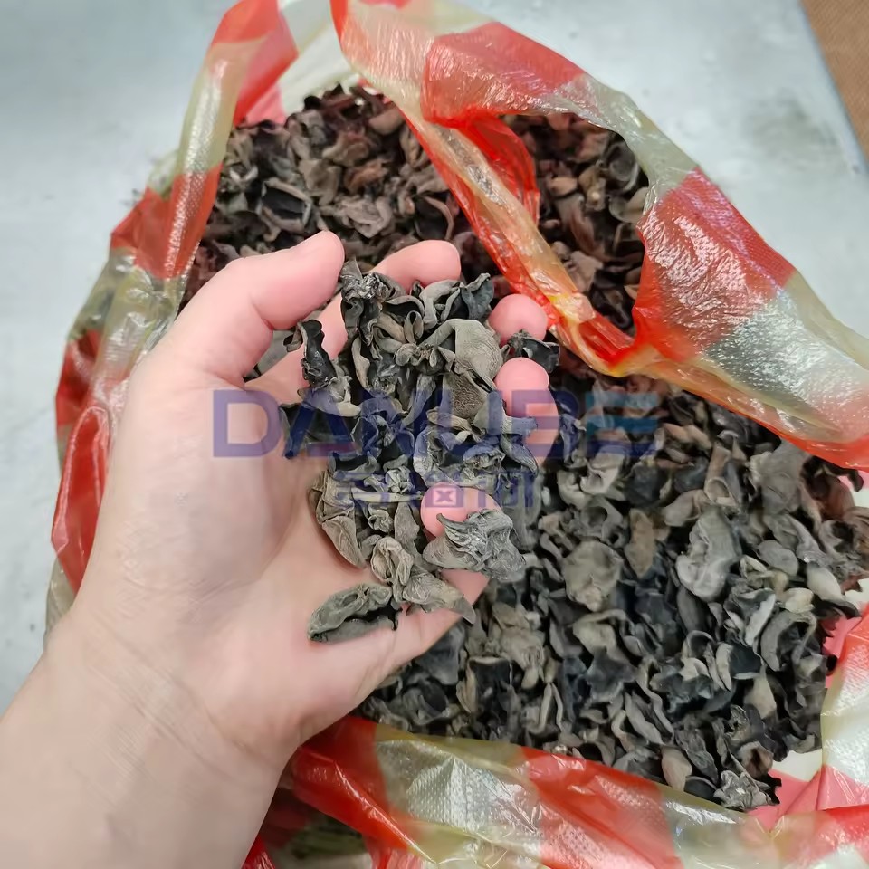 Product Importer Gallery 01 · 8ff6719125