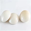Product Importer Gallery 02 · 38abdf6343