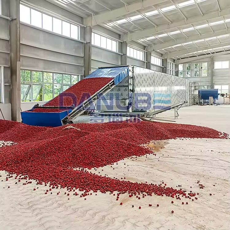 Product Importer Gallery 04 · eeb2b3804a