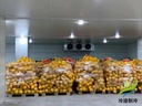 Product Importer Gallery 01 · cc33a0163f