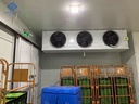 Product Importer Gallery 05 · caf4ce0051