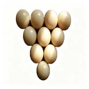 Product Importer Gallery 05 · 75ec344797
