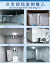 Product Importer Gallery 03 · 19985c3095