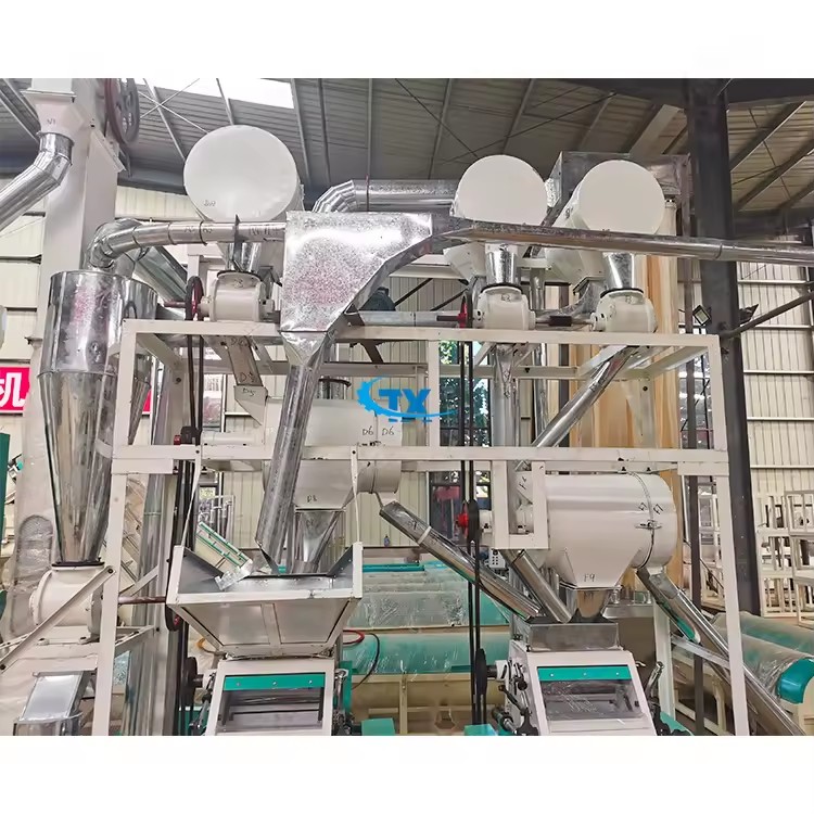 Product Importer Gallery 01 · 689fcc476f