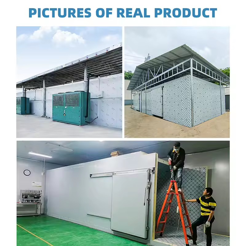 Product Importer Gallery 04 · 397714d274