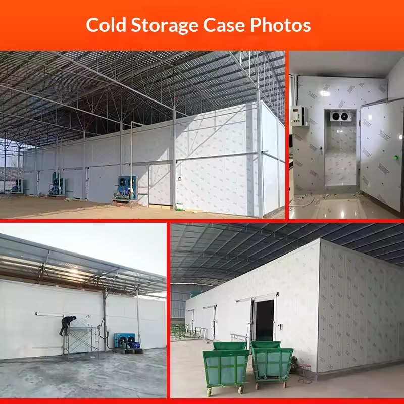 Product Importer Gallery 04 · 482f95debd