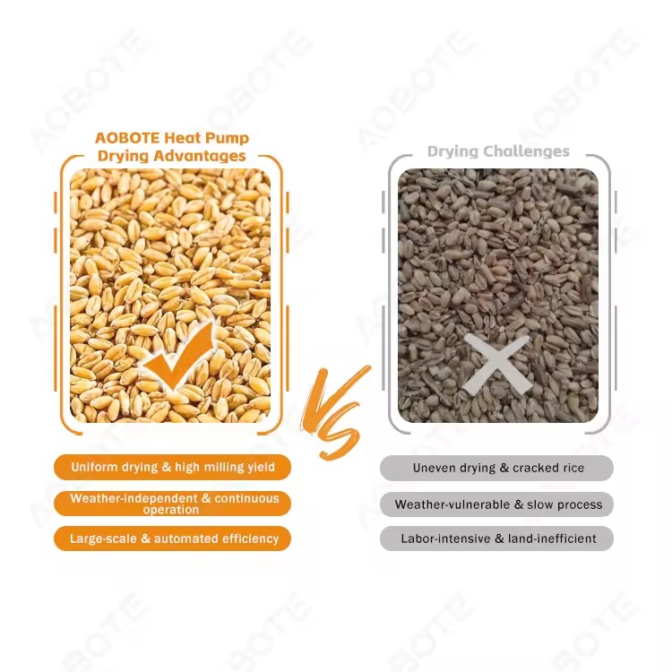 Product Importer Gallery 02 · 2fa163e6c6