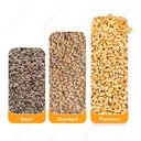 Product Importer Gallery 03 · 95c16c06fe