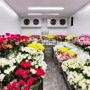 Product Importer Gallery 05 · 21fe1036a0