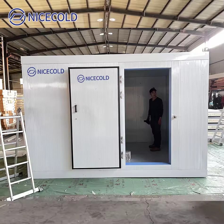 Product Importer Gallery 04 · 44e411b491
