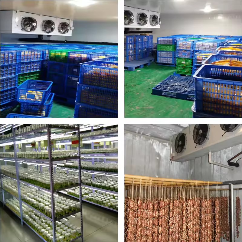 Product Importer Gallery 03 · e5640950b8