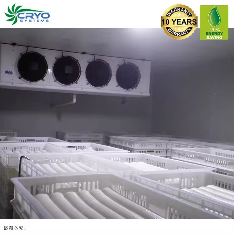 Product Importer Gallery 03 · 4d5941aa6d