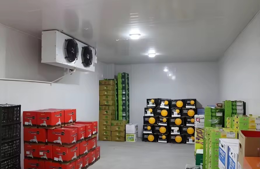 Product Importer Gallery 02 · 9f94e9cf80