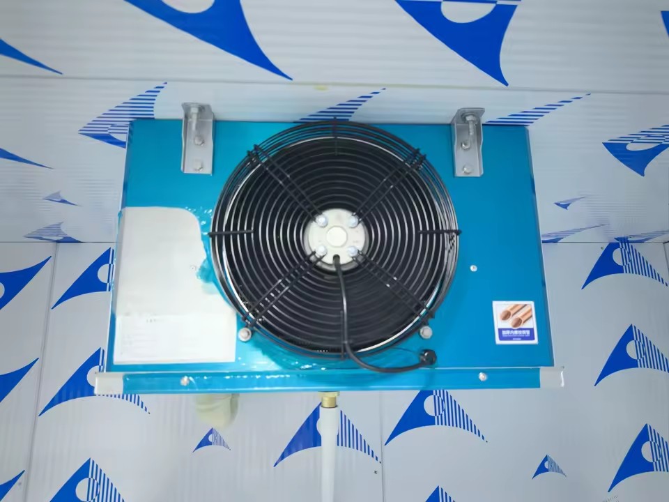 Product Importer Gallery 01 · 553167e6f9