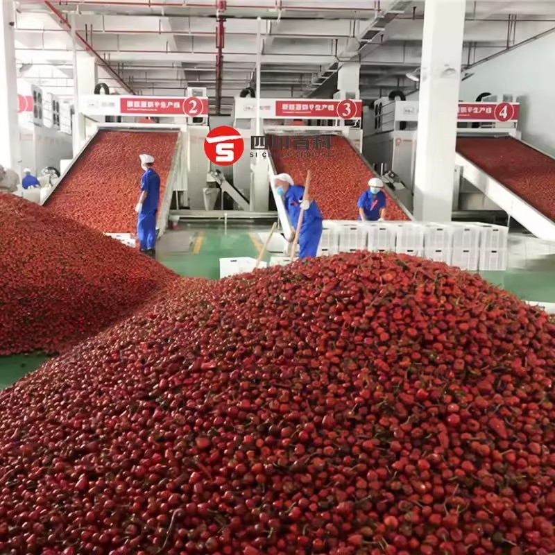 Product Importer Gallery 01 · cff23aae5a