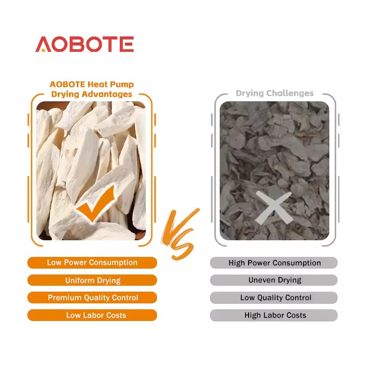 Product Importer Gallery 03 · ebe2402019