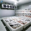 Product Importer Gallery 02 · 1322b96b8c