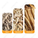 Product Importer Gallery 02 · 37f8744390