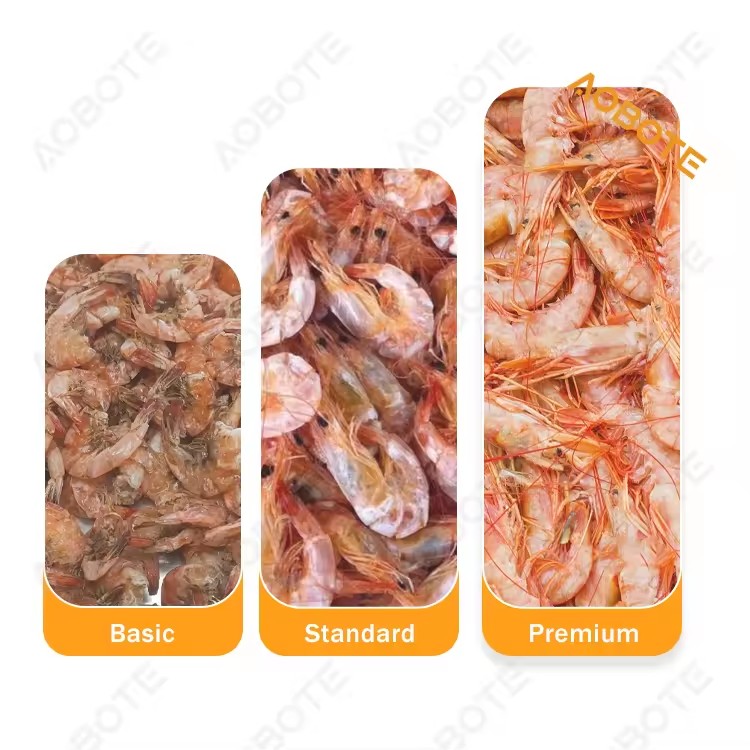 Product Importer Gallery 03 · 56f4116212