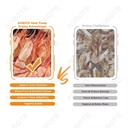 Product Importer Gallery 02 · 6372740b57