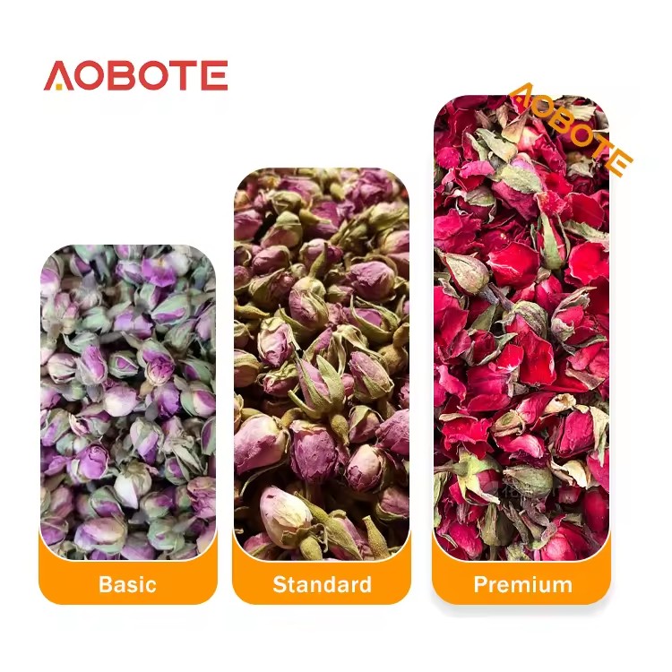 Product Importer Gallery 03 · 53c578b591