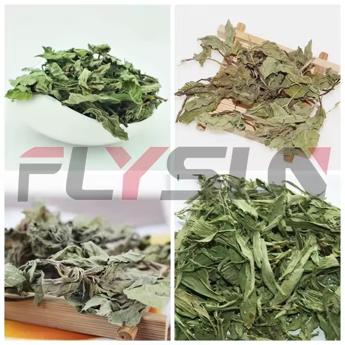 Product Importer Gallery 04 · ec55942cb2