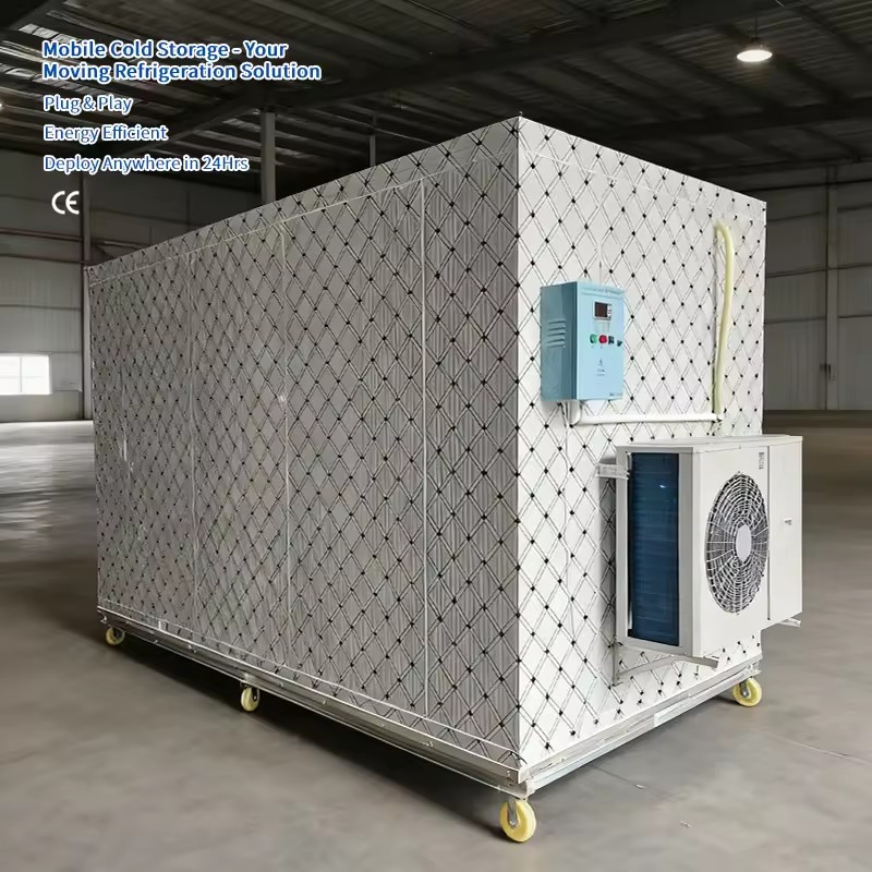 Product Importer Gallery 02 · 53623d2d11
