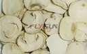 Product Importer Gallery 05 · b9f4180144