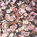 Product Importer Gallery 01 · c250afed4a