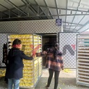 Product Importer Gallery 02 · c7fe89ac1e