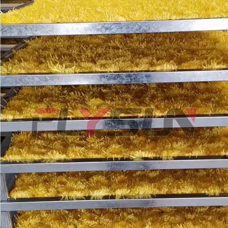 Product Importer Gallery 01 · 2a5da2f642