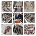 Product Importer Gallery 04 · 8860669adf