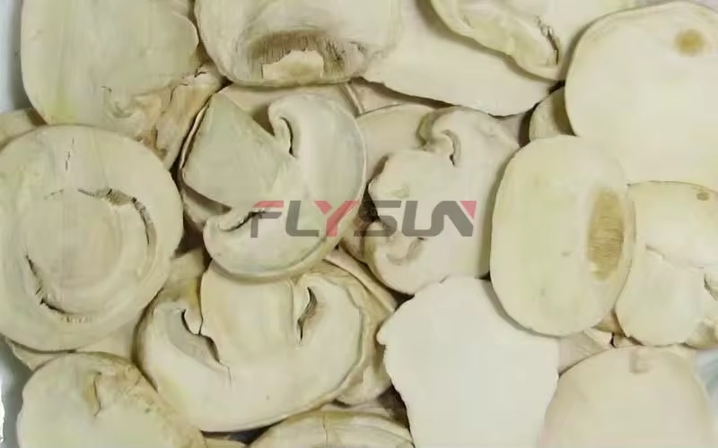 Product Importer Gallery 05 · 2736661a1a
