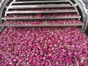 Product Importer Gallery 01 · 340c07860f
