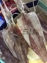 Product Importer Gallery 04 · c95711da9a