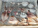 Product Importer Gallery 03 · bde2a3a260
