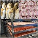 Product Importer Gallery 05 · 53336ef326