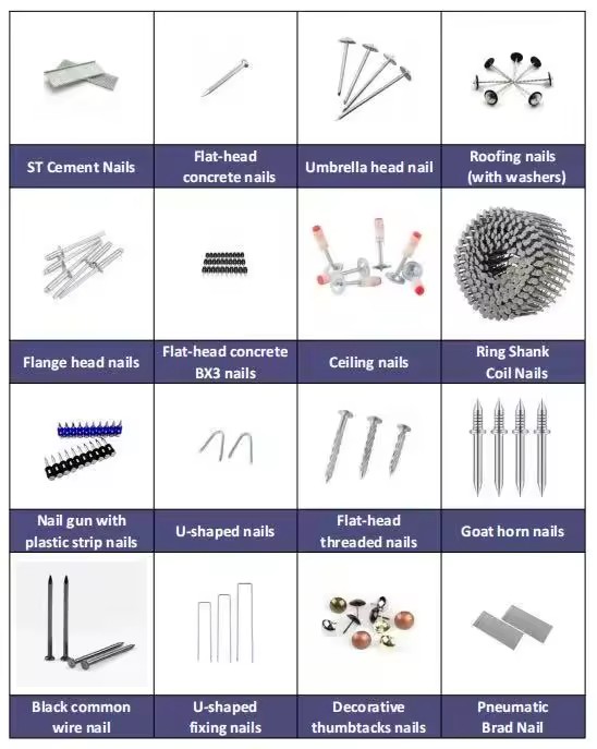Product Importer Gallery 05 · b389ba6b75